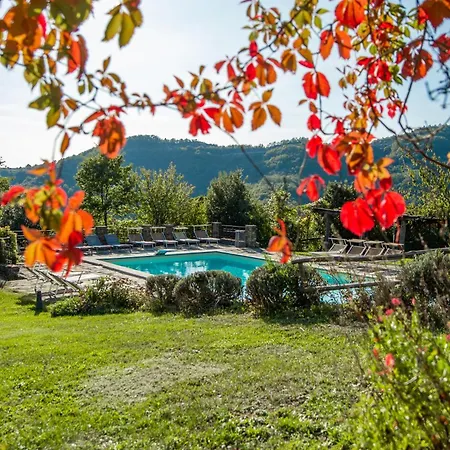 A Cantuccio By Mmega San Giustino